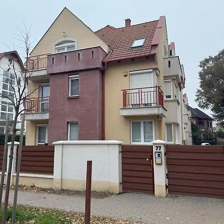 Mimi Debrecen